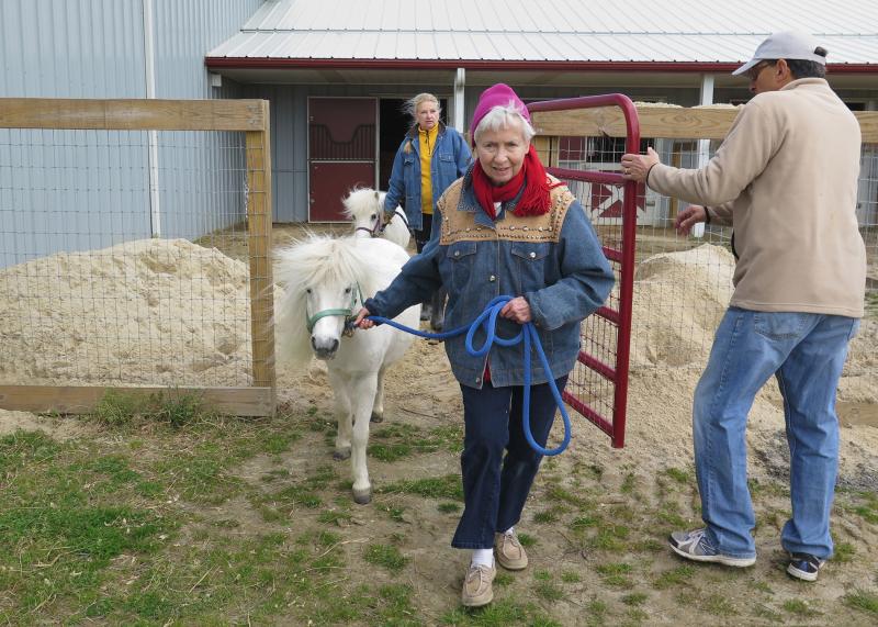 CAMP Rehoboth volunteers help at Southern Delaware Therapeutic Riding